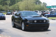 Black Mustang